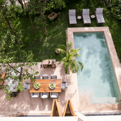 exterior palm naturaleza corasol